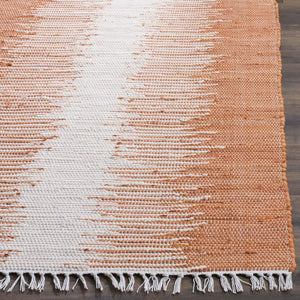 Safavieh Montauk MTK751 Hand Woven Rug