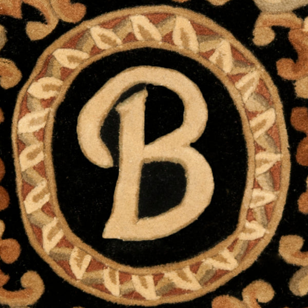 Safavieh NA516 Hand Tufted Rug