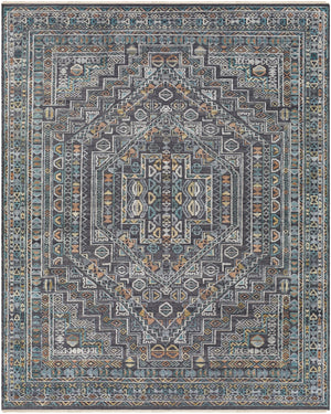 Nobility NBI-2315 Traditional Wool, Viscose Rug NBI2315-81012 Charcoal, Medium Gray, Light Gray, Wheat, Peach, Pale Blue, Cream 60% Wool, 40% Viscose 8'10" x 12'