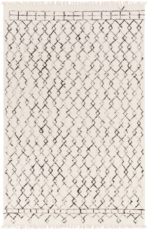 Nettie NET-1000 Global Wool, Viscose Rug NET1000-810 Cream, Black 80% Wool, 20% Viscose 8' x 10'