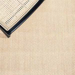 Safavieh Trinidad - Rlr0541 Power Loomed 100% Sisal Rug NF141A-8SQ