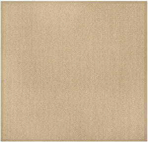 Safavieh Trinidad - Rlr0541 Power Loomed 100% Sisal Pile Rug NF141B-9SQ