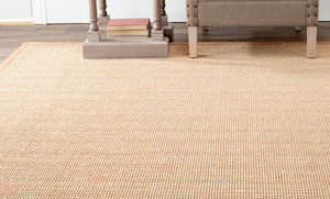 Safavieh Nf442 Power Loomed Sisal with Latex Rug NF442D-3
