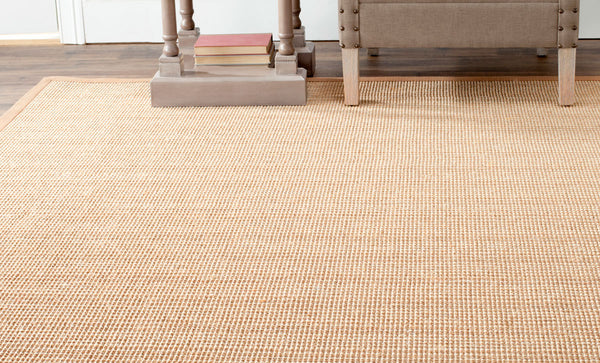 Safavieh Nf442 Power Loomed Sisal with Latex Rug NF442D-3