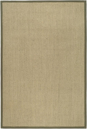 Safavieh Nf443 Power Loomed Sisal with Latex Rug NF443C-3