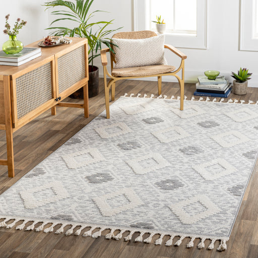 Surya Nora Rustic NOA-2303 Rug NOA2303-71010