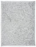 Safavieh Novelty 702 Hand Knotted Polypropylene Rug NOV702Z-8