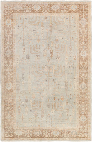 Normandy NOY-8003 Traditional Wool Rug NOY8003-913 Beige, Khaki, Wheat, Camel, Pale Blue 100% Wool 9' x 13'