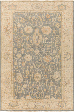Normandy NOY-8007 Traditional Wool Rug NOY8007-69 Teal, Medium Gray, Cream, Light Gray, Dark Brown, Peach, Butter 100% Wool 6' x 9'
