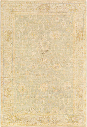 Normandy NOY-8009 Traditional Wool Rug NOY8009-913 Khaki, Cream, Beige, Camel, Taupe, Butter, Medium Gray 100% Wool 9' x 13'