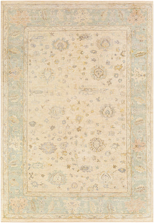 Normandy NOY-8010 Traditional Wool Rug NOY8010-913 Seafoam, Cream, Dark Brown, Tan, Butter, Denim 100% Wool 9' x 13'
