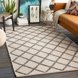 Napels NPL-2300 Modern Wool, Viscose Rug NPL2300-912 Cream, Dark Brown 70% Wool, 30% Viscose 9' x 12'