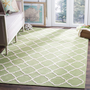 Safavieh Newport NPT430 Hand Hooked Rug