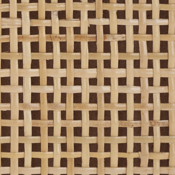 Zadie Modern Coastal Chic 2 Drawer Nightstand with Rattan Details for Stylish Bedroom Storage