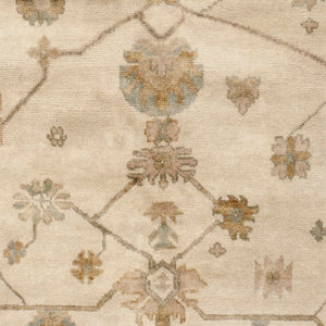 Safavieh Oushak OSH751 Hand Knotted Rug