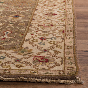 Safavieh OW130 Rug