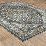 Oriental Weavers Fiona 5560A Traditional/Vintage Oriental Polyester Indoor Area Rug Blue/ Beige 9'10" x 12'10" F5560A300390ST