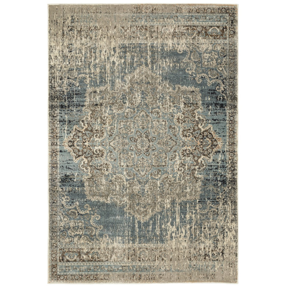 Oriental Weavers Raleigh 6649H Bohemian/Vintage Oriental Polypropylene Indoor Area Rug Blue/ Ivory 9'10" x 12'10" R6649H300390ST