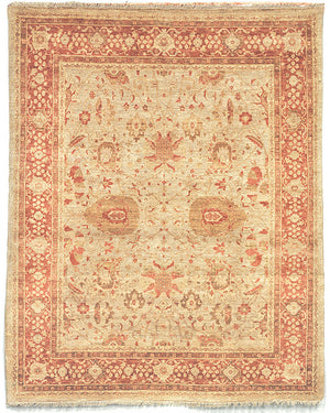 Safavieh P199 Rug