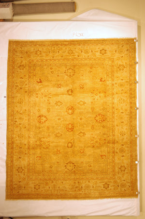 Safavieh P250 Rug