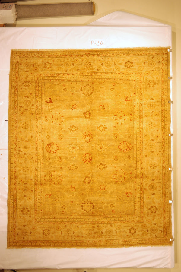 Safavieh P250 Rug