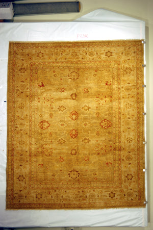 Safavieh P250 Rug