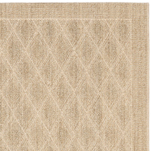 Safavieh Palm PAB351 Rug
