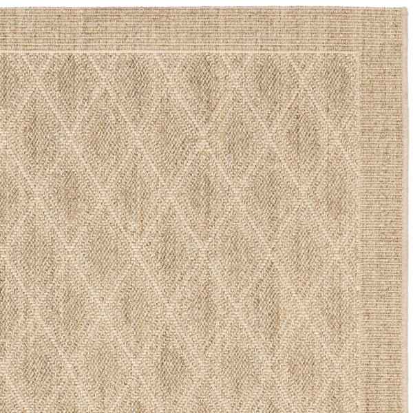 Safavieh Palm PAB351 Rug