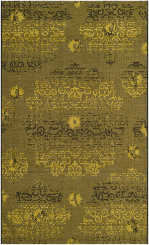 Safavieh Palazzo Pal129 56C1 Power Loomed Rug