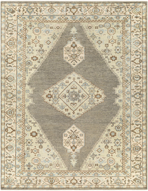 Palais PAL-2304 Traditional Wool Rug PAL2304-81012 Charcoal, Denim, Beige, Dark Brown 100% Wool 8'10" x 12'