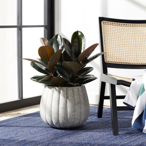 Safavieh Kaston Planter PAT1522B