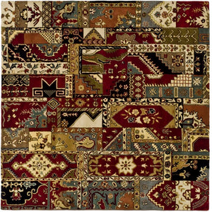Safavieh PAW835 Rug