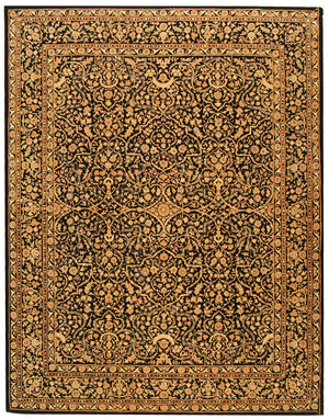 Safavieh PC162 Rug