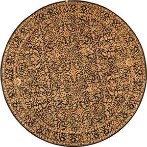 Safavieh PC162 Rug