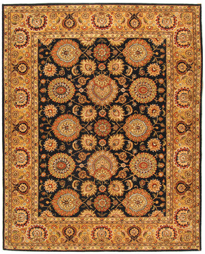 Safavieh PC448 Rug