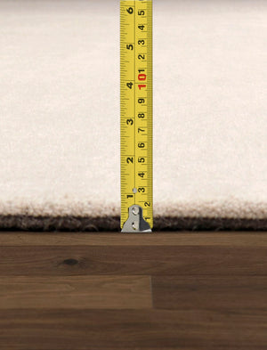 Pasargad Rodeo Collection Hand-Tufted Silver/Ivory Bsilk & Wool Area Rug PCC-02 9X12-PASARGAD