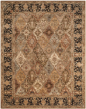 Safavieh PL510 Rug
