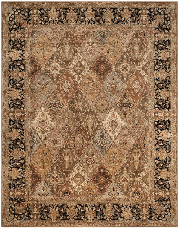 Safavieh PL510 Rug