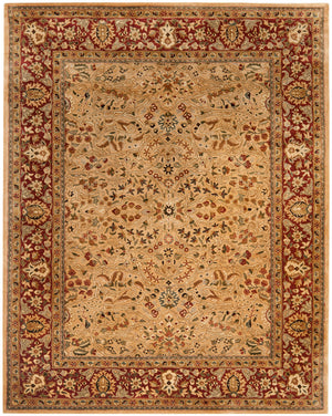 Safavieh PL511 Rug