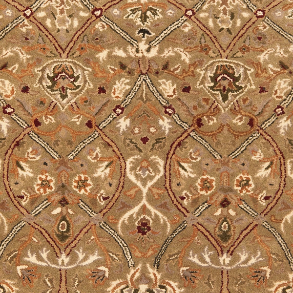 Safavieh Persian PL819 Hand Tufted Rug