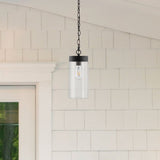 Safavieh Lianne Outdoor Pendant Black Metal / Glass PLT4037A