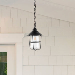 Safavieh Penber Outdoor Pendant Black Metal / Glass PLT4039A