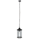 Safavieh Hylan Outdoor Pendant PLT7007A