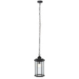 Hylan Outdoor Pendant