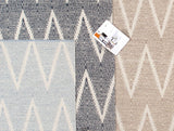 Pasargad Simplicity Collection Hand-Woven Cotton Area Rug plw-06 9x12-PASARGAD