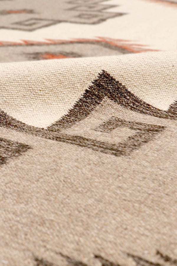 Pasargad Tuscany Collection Hand-Woven Wool Area Rug PNT-137 9X12-PASARGAD