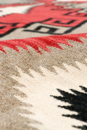 Pasargad Tuscany Collection Hand-Woven Wool Area Rug PNT-198 9x12-PASARGAD