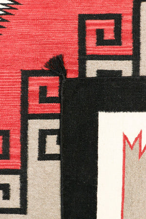 Pasargad Tuscany Collection Hand-Woven Wool Area Rug PNT-198 9x12-PASARGAD