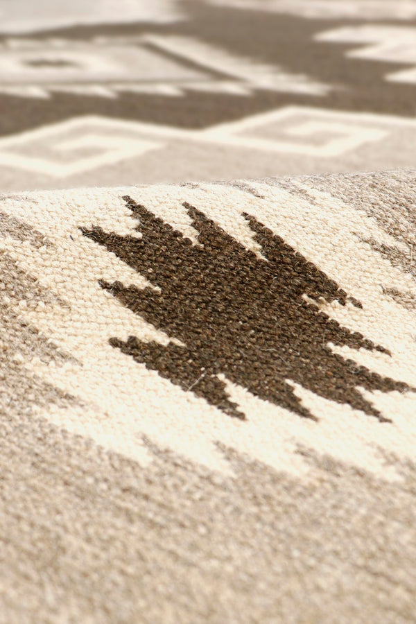 Pasargad Tuscany Collection Hand-Woven Wool Area Rug PNT-238 8X10-PASARGAD