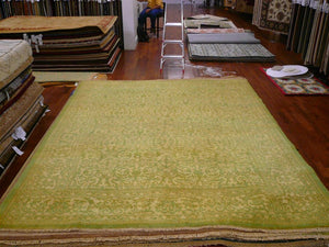 Safavieh Polonaise POL671 Rug